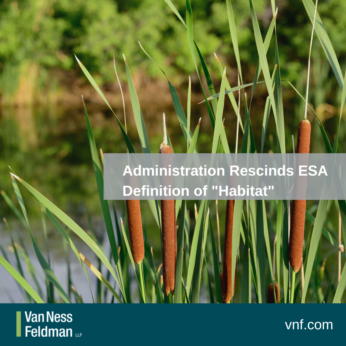 Administration Rescinds ESA Definition of "Habitat" Van Ness Feldman LLP